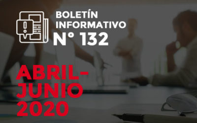 Boletin 132